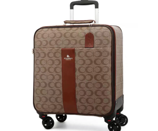 Suitcase on wheels with a bag